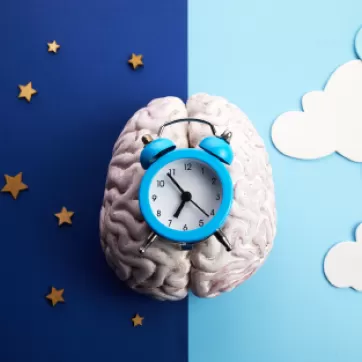 A Brain with a clock on it rests over a starry and cloudy sky depicting day and night time