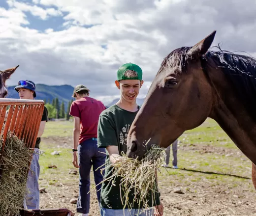 Camp Counsellor Feeds a Horse with Hay at Camp Chief Hector