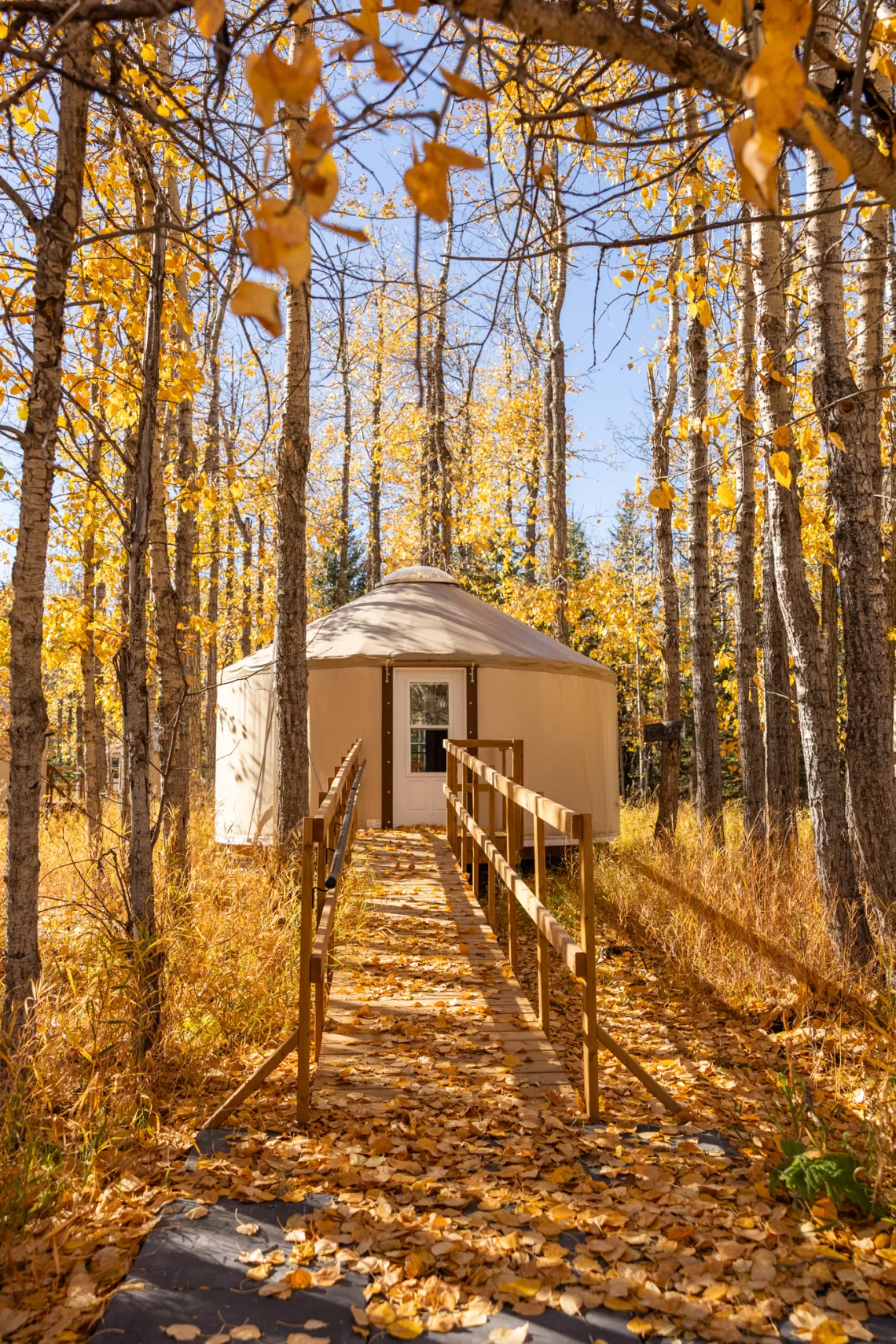 A yurt during the fall